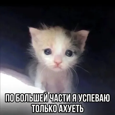 Успеваю только ахуеть