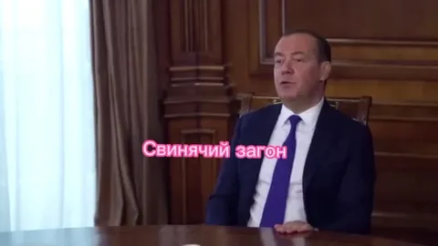 Медведев в свинячьем загоне