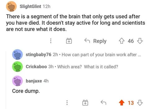 Brain Core Dump Comment Thread