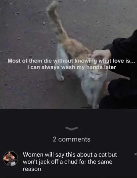 Love Cats, Not Chuds