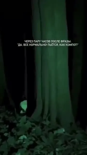 Через пару часов после «всё нормально»
