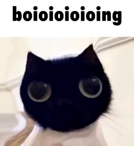 Boioioioioing Cat