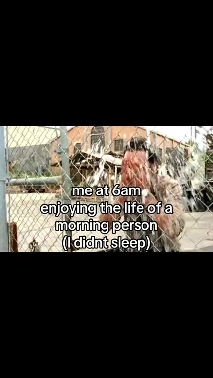 Me at 6am After No Sleep