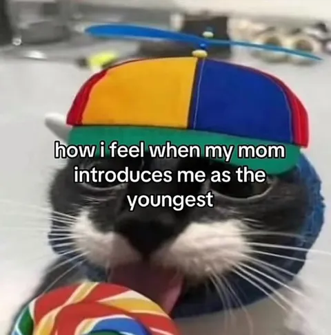 Cat Introduced as the Youngest