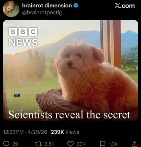Scientists Reveal the Secret