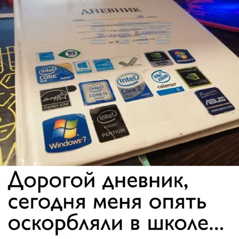 Дорогой дневник, меня опять оскорбляли