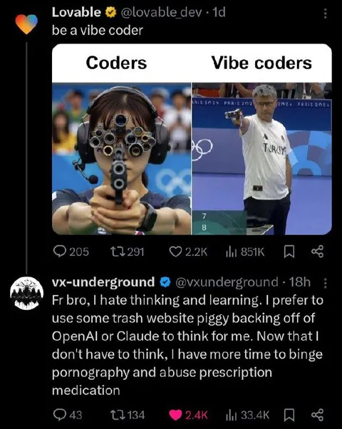 Vibe Coders Aim Differently