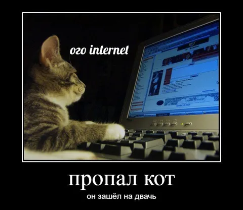 Пропал кот на дваче