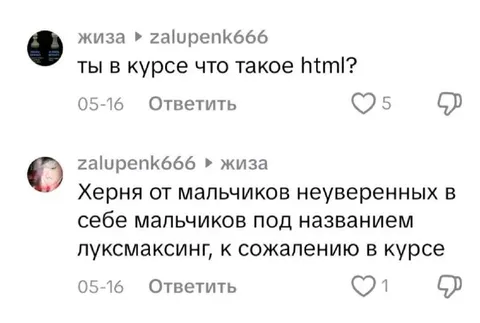 Что такое html по версии луксмаксинга