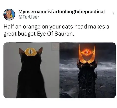 Budget Eye of Sauron Cat