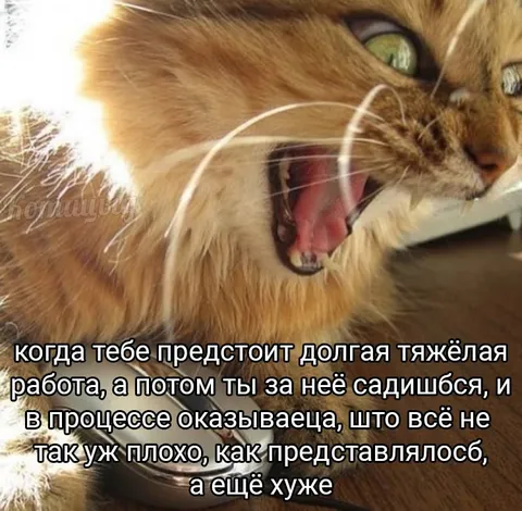 Когда работа оказалась ещё хуже