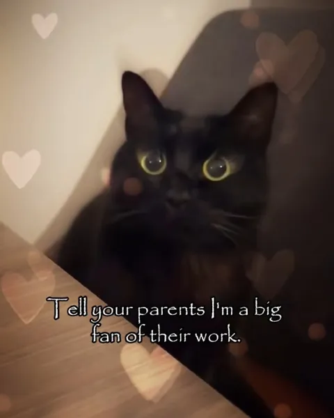 Black Cat Big Fan