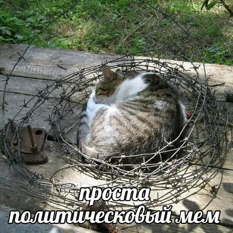 Проста политическовый мем