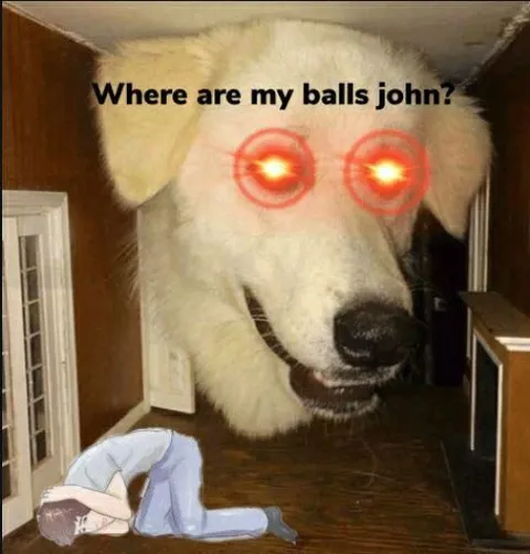 Where Are My Balls John