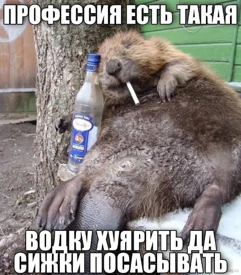 Профессия есть такая