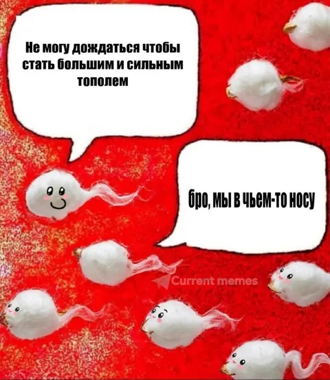 Большие и сильные тополя