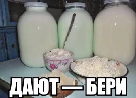 ДАНОТ — БЕРИ