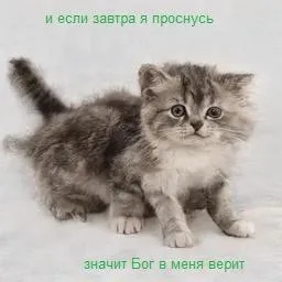 Если завтра я проснусь