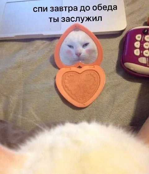 Ты заслужил поспать до обеда