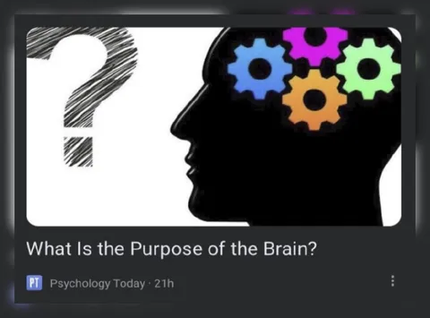 What Is the Purpose of the Brain?
