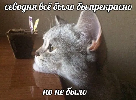 Сегодня всё было бы прекрасно