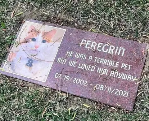 Terrible Pet Memorial