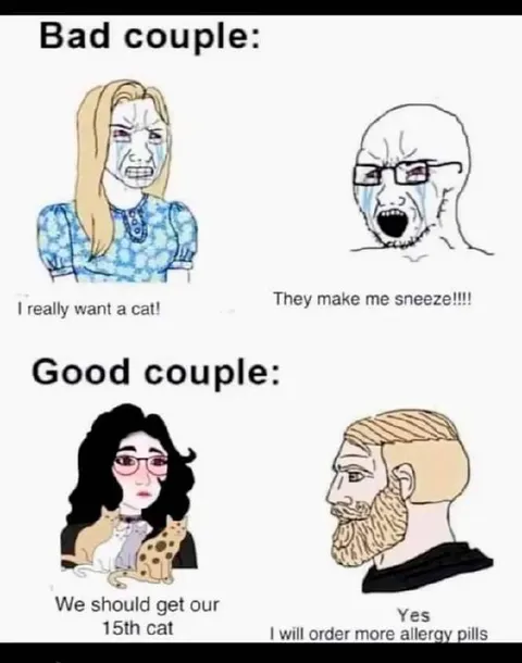 Good Couple Gets More Cats