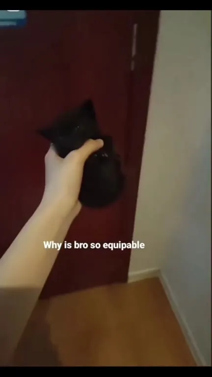 Why Is Bro So Equippable