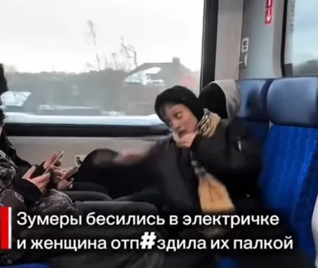Женщина от#здила зумеров палкой