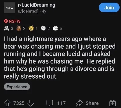 Lucid Dream Bear Divorce