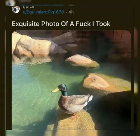 Exquisite Photo Of A Fuck I Took