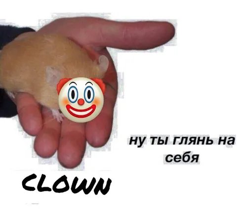 Ну ты глянь на себя