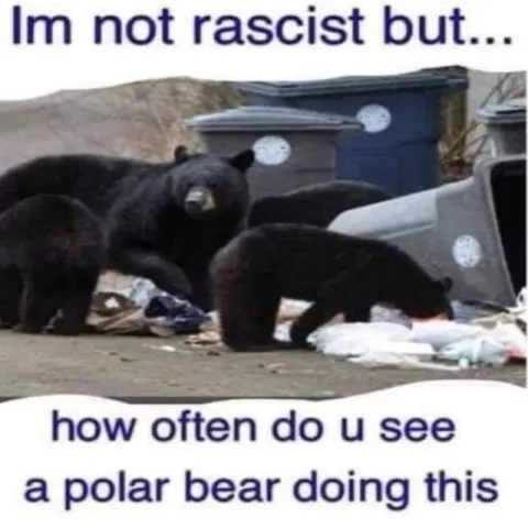 Polar Bear in the Trash