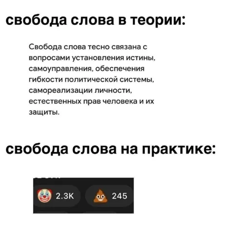 Свобода слова на практике