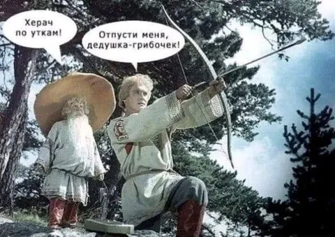 Херач по уткам
