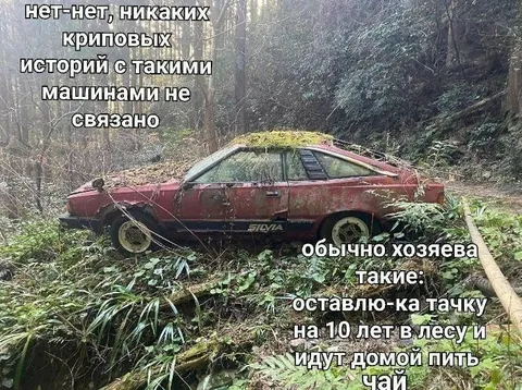 Хозяева оставили Silvia в лесу
