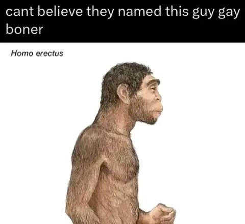 Homo Erectus Boner