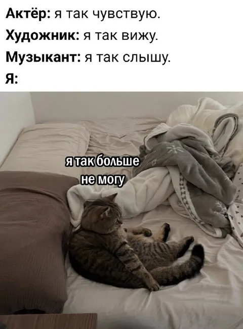 Я так больше не могу