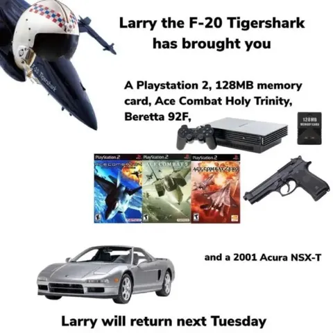 Larry's Ace Combat Gift