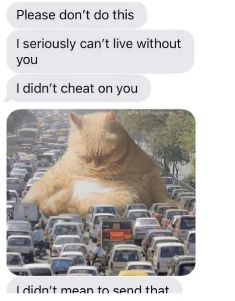 Giant Cat in Traffic