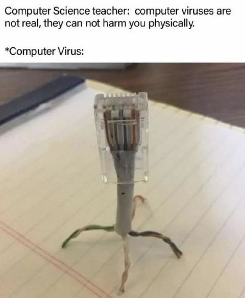Computer Virus Has Legs
