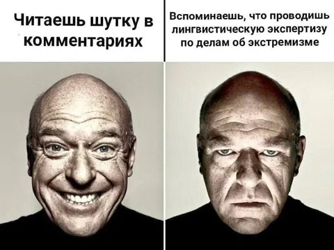 Шутка в комментариях и экспертиза