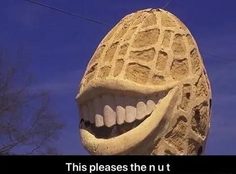 This pleases the nut
