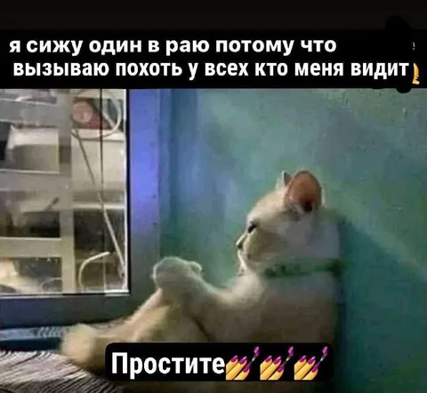 Кот вызывает похоть у всех