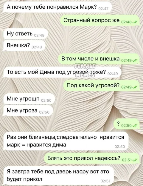 Близнецы Марк и Дима
