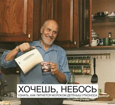 Хочешь узнать про утконоса