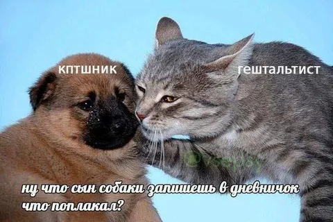 КПТшник и гештальтист