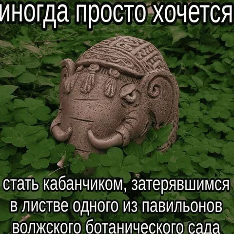 Стать кабанчиком в павильоне