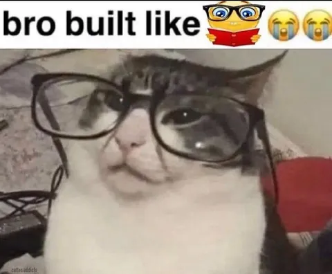 Bro Built Like Nerd Cat