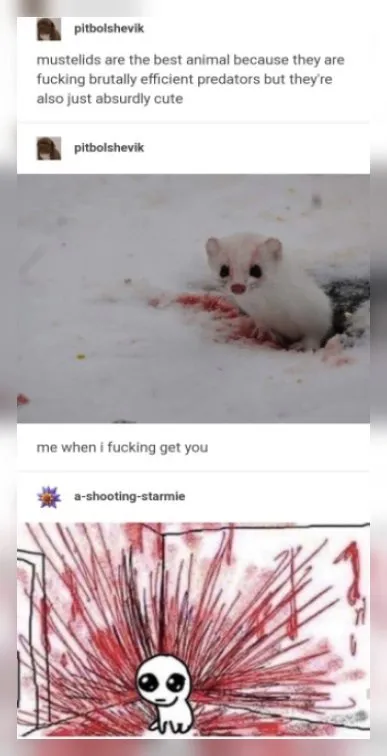 Cute Mustelid Threat